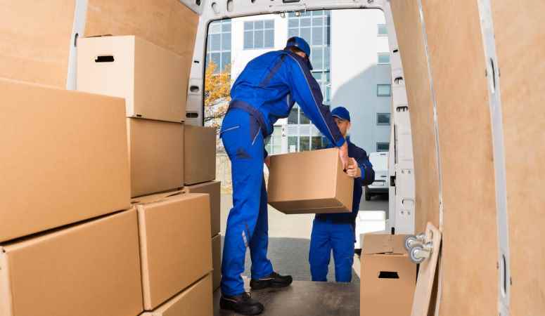 Mex cargo Home Packers And Movers Chittorgarh